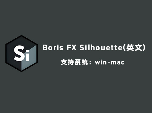 Ae/Pr插件Boris FX Silhouette win 2025.0.1 mac mac2025.0.0 特别版