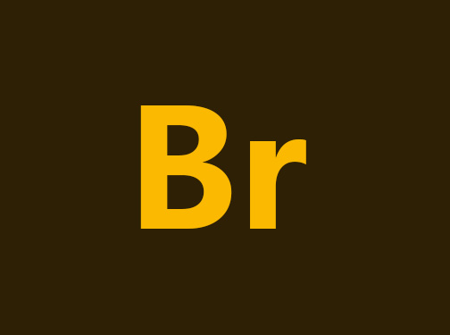 资源管理软件Adobe Bridge2025 v15.0 中文一键安装版