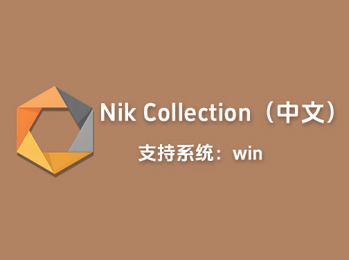 Ps/Lr影视后期修图调色插件Nik Collection 8.0中文版「L47」
