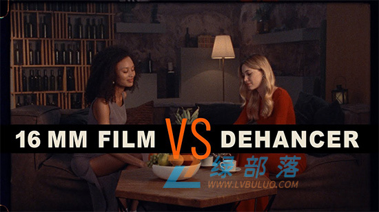 AE/PR插件-电影级胶片模拟与色彩分级套件 Dehancer Pro v7.3.1 CE win