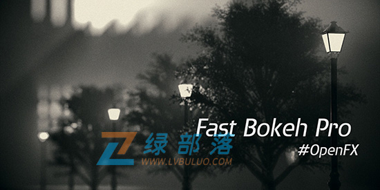 达芬奇插件-电影级景深虚焦模糊工具 Fast Bokeh Pro v2.0.9 win