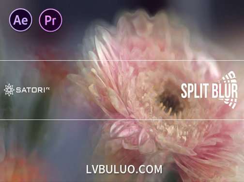 中文汉化版-AE/PR通道分离模糊特效插件精准修复色差与创造梦幻光晕 Split Blur v1.5.0