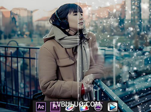 视频素材-20个下雪飘雪粉尘飘舞鹅毛大雪小雪天气特效动画 Snow