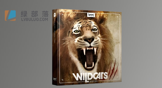 音效素材-928个老虎狮子等猫科动物呼吸嗅探相关音效合集