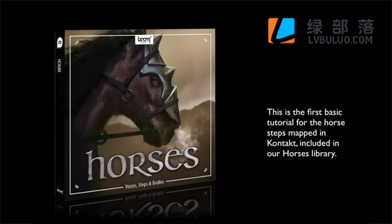 音效素材-950种马奔跑马叫声马蹄声等与马相关无损音效合集 Boom Library Horses