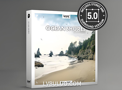 音效素材-202组海岸线海浪拍打岸边海鸥鸟叫自然环境音效 Ocean Shores