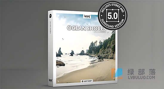 音效素材-202组海岸线海浪拍打岸边海鸥鸟叫自然环境音效 Ocean Shores