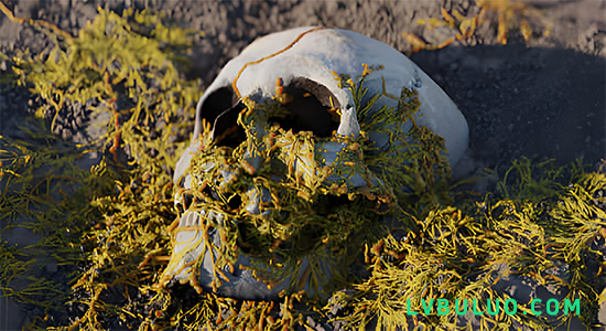 Blender预设-程序化真菌生长模拟资产 Procedural Fungus Growth v1.0