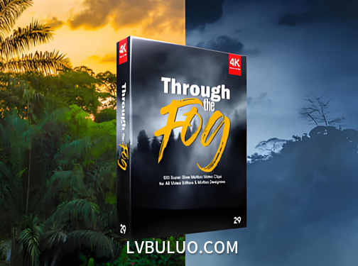 4K视频素材-100个烟雾飘渺气氛渲染特效动画 Through The Fog