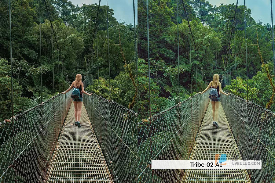 20款旅行摄影浓郁鲜艳视频照片调色预设 20 Granola Lightroom Presets LUTs