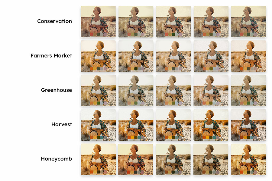 25个复古人像蜂蜜色调视频图片调色LR预设 25 Aloe Honey Lightroom Presets LUTs