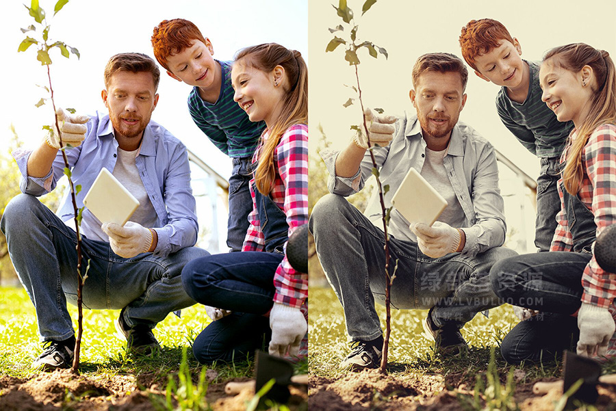 25个复古人像蜂蜜色调视频图片调色LR预设 25 Aloe Honey Lightroom Presets LUTs