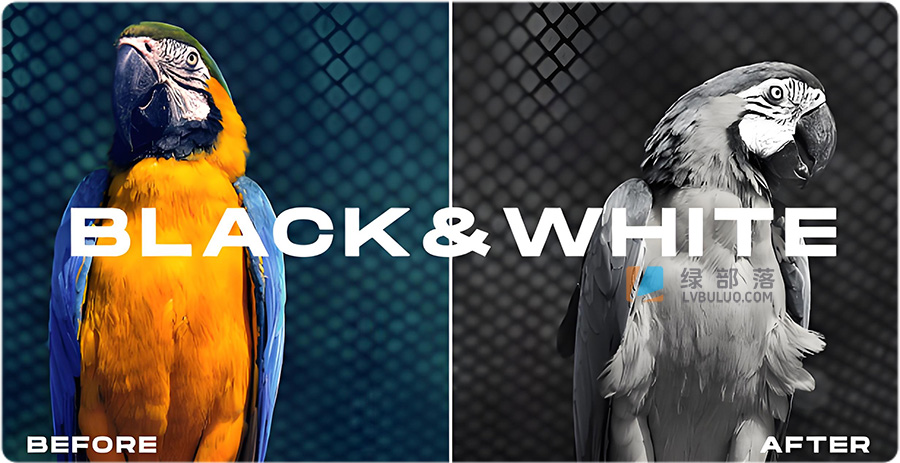 250款复古经典电影大片色彩视频调色预设 250 LUT Color Presets