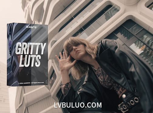 600多个街头潮流艺术冷蓝黑白等风格色彩视频调色预设 Acidbite – Gritty LUTs