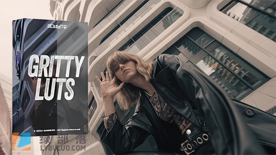 600多个街头潮流艺术冷蓝黑白等风格色彩视频调色预设 Acidbite – Gritty LUTs