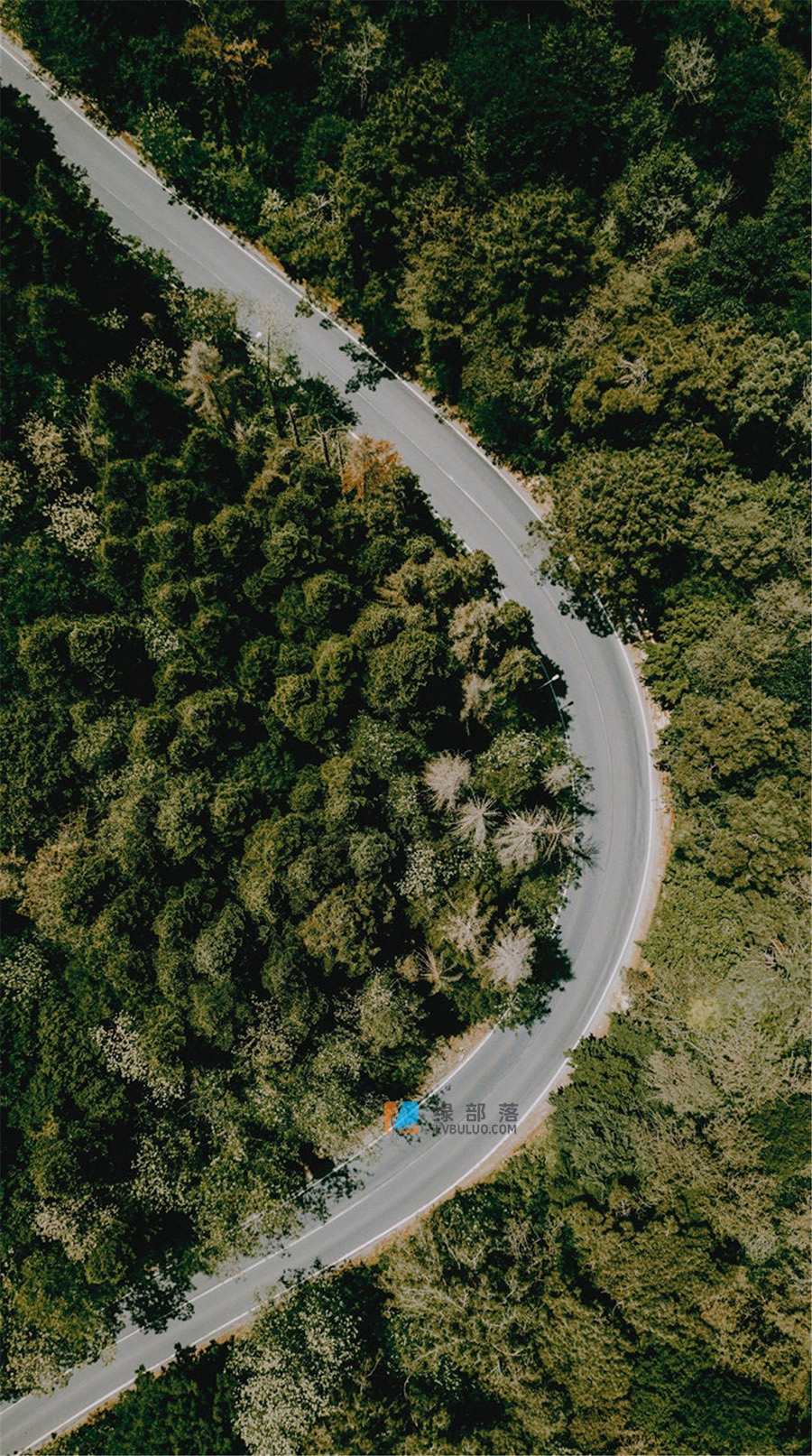 神秘梦幻温暖柔和电影胶片调色预设 Analogica Lab – Fantastico Filtro