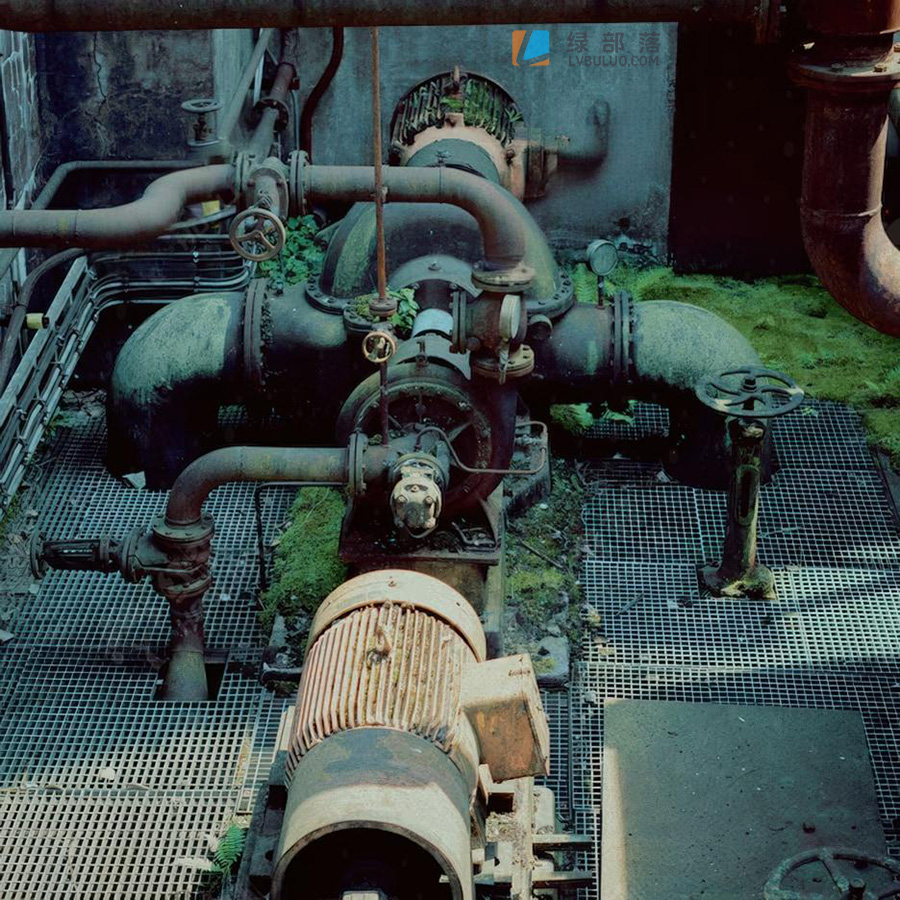 Kodak Vision3 250D 胶卷复古摄影调色LUT预设 Analogica Lab – Kodak Vision3 250D 35MM Film Simulation