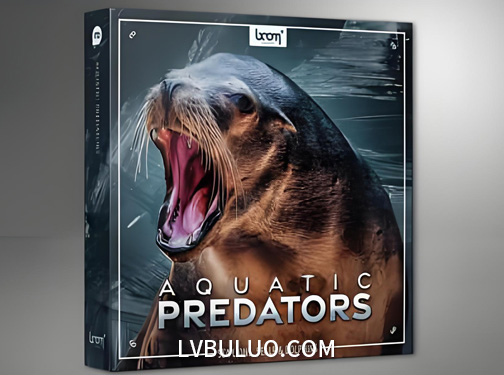 音效素材-1085种海狮海豹海豚等动物吼叫呼气呜咽音效 Aquatic Predator