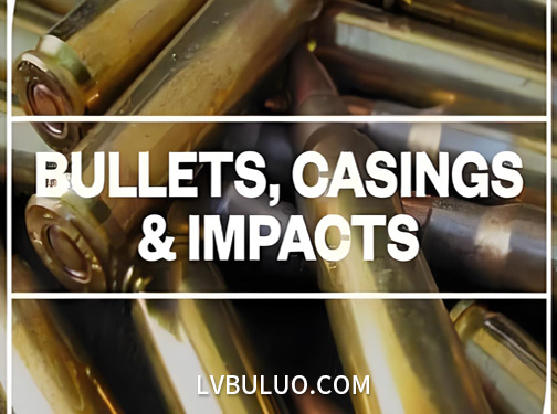 音效素材-511个各类子弹射击后剥壳外壳掉落落地音效 Bullets, Casings and Impacts