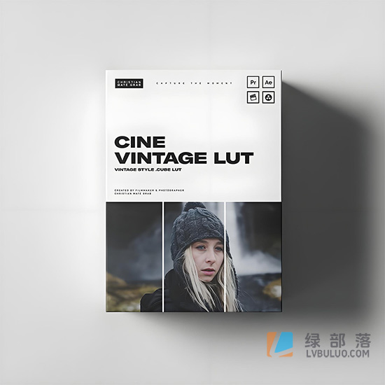 复古电影胶片风格视频调色预设 Christian Mate Grab – Cine Vintage LUT