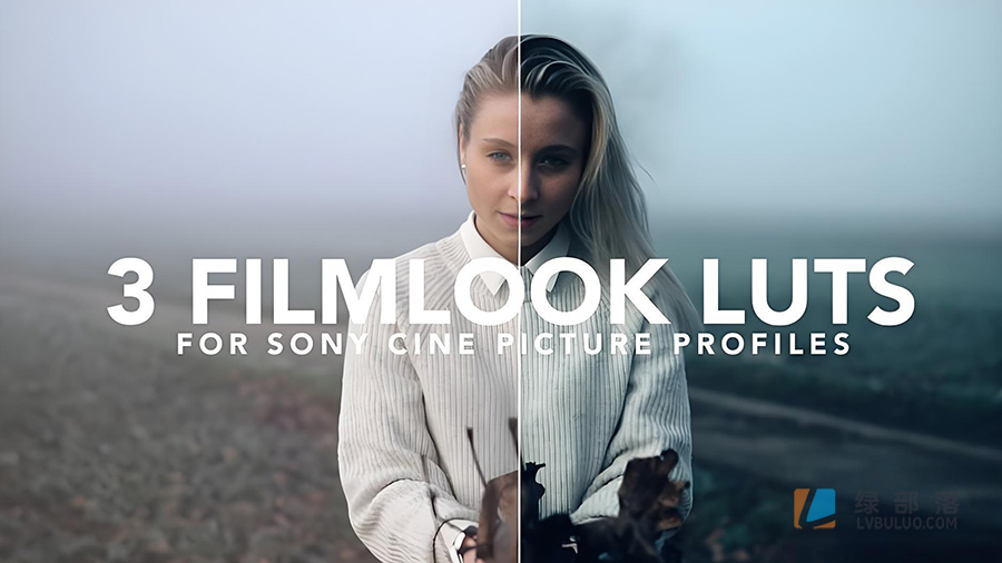 3个索尼Cine2/4 电影短视频创意调色预设 Christian Mate Grab – 3 Filmlook LUTs for Sony Cine2/Cine4