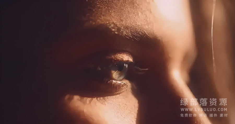 10个宽画幅65MM复古胶片色彩调色LUT预设 Cine Color – 65MM Large Format