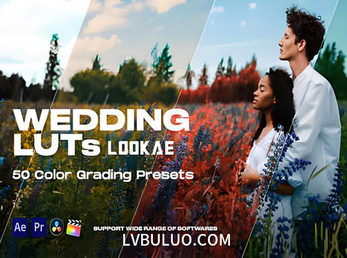 100个欧美风格婚礼调色调色预设 Colorify Wedding LUTs