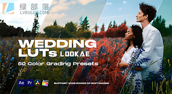 100个欧美风格婚礼调色调色预设 Colorify Wedding LUTs