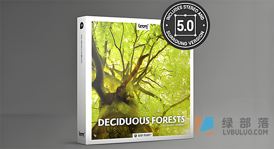 音效素材-192组大自然森林鸟类鸣叫雨林虫鸣鸟叫环境音效 Deciduous Forests