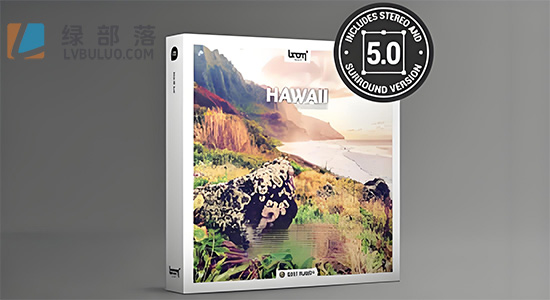 音效素材-145组夏威夷海岸虫鸟鸣叫自然环境音效 Hawaii