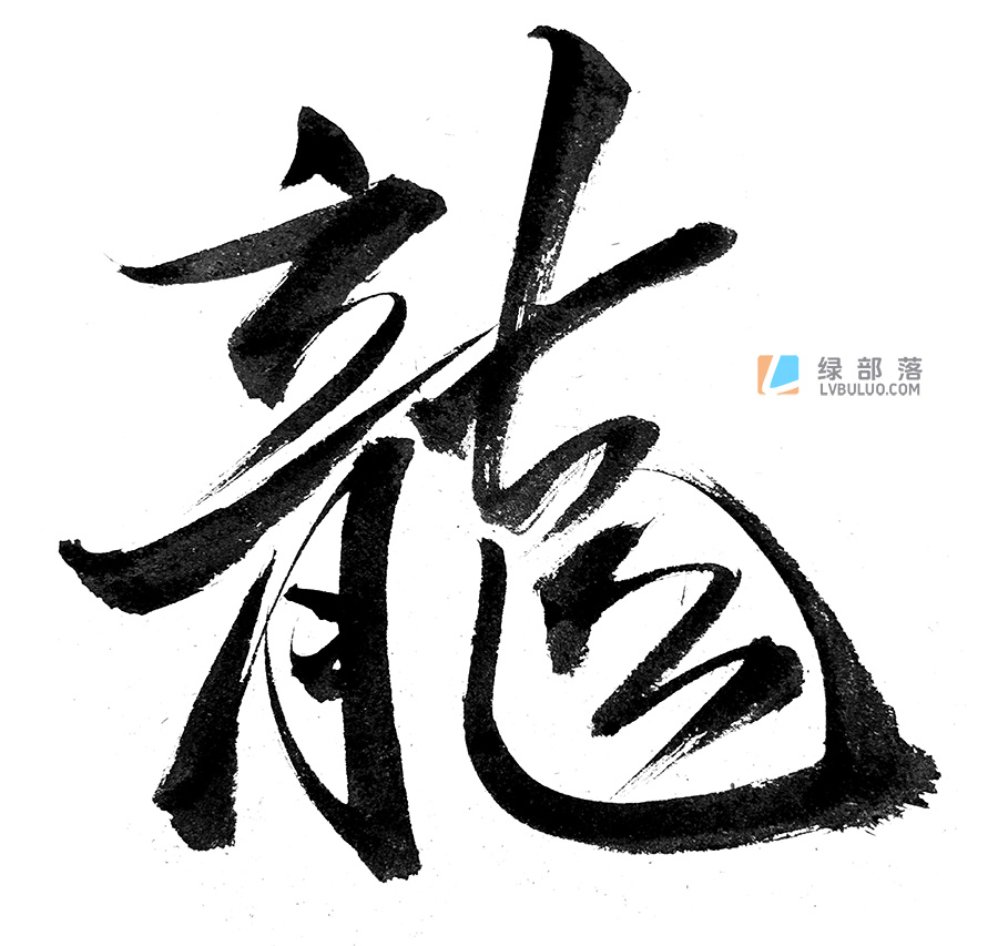 24款不同形式的龙书法psd工程文件免费可商用