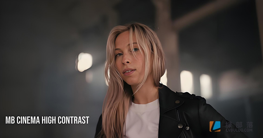 16个索尼佳能商业电影色彩调色预设 Mark Bone – Cinema LUT Pro