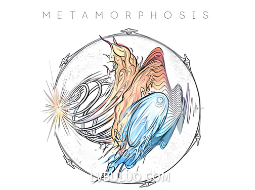 音效素材-2300种烟花能量冲击发射飞行无损音效 Metamorphosis