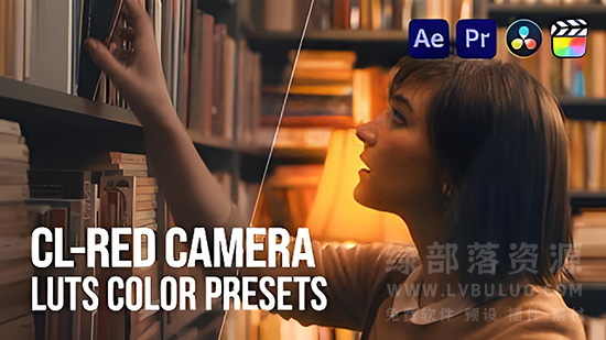 20个高品质RED摄像机色彩校正调色预设 Pixflow – CL-RED Camera LUTs