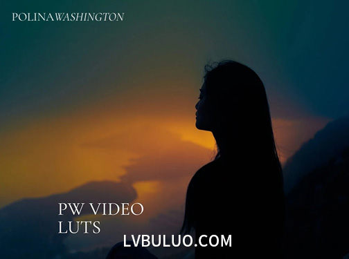16个短视频拍摄快速色彩校正调色预设 Polina Washington – Video LUTs