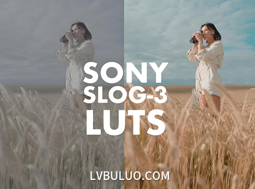 21个人像肤色曝光校准调色预设 Sony Slog 3 LUTS–Skintone Edition