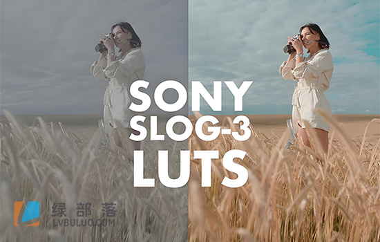 21个人像肤色曝光校准调色预设 Sony Slog 3 LUTS–Skintone Edition