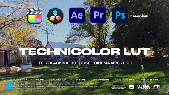 1920年代特艺彩色老电影镜头高饱和度外观调色预设 Technicolor LUT Pack for Black Magic Pocket Cinema 6K/6k Pro