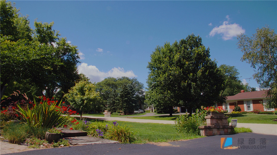 1920年代特艺彩色老电影镜头高饱和度外观调色预设 Technicolor LUT Pack for Black Magic Pocket Cinema 6K/6k Pro