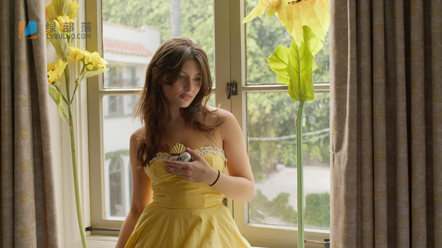 复古电影胶片Kodak Vision3 500T/250D,Fuji Eterna Vivid 160T色彩模拟调色预设+达芬奇PowerGrade节点预设 Tom Bolles – CinePrint35 Film Emulation