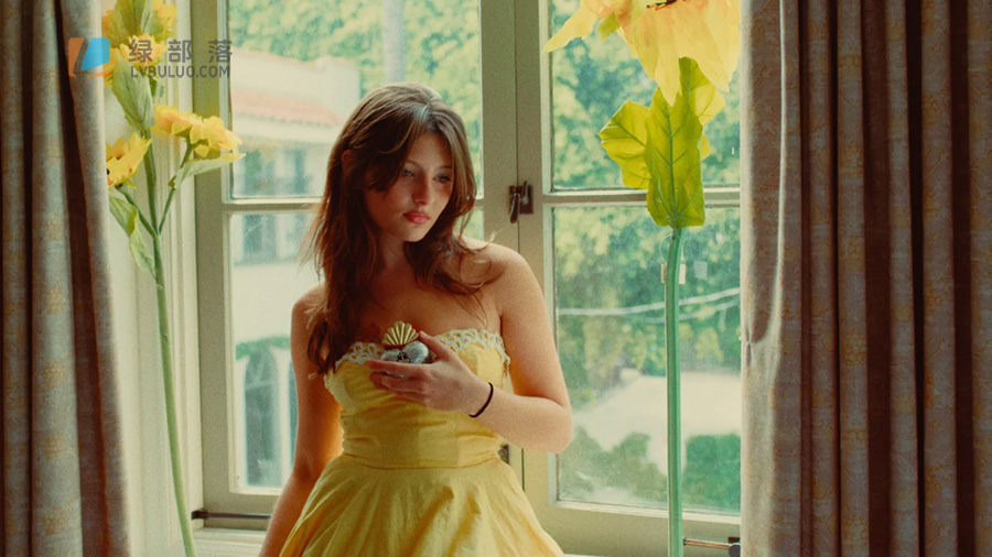 复古电影胶片Kodak Vision3 500T/250D,Fuji Eterna Vivid 160T色彩模拟调色预设+达芬奇PowerGrade节点预设 Tom Bolles – CinePrint35 Film Emulation