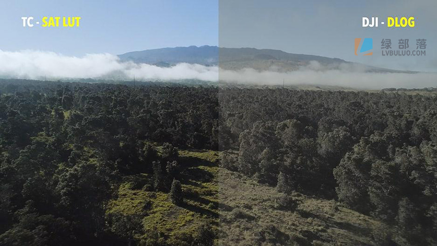10个大疆无人机航拍视频调色预设 Tropic Colour – Drone LUTs