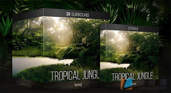 音效素材-沉浸式森林丛林雨林流水鸟叫户外环境氛围音效 TROPICAL JUNGLE