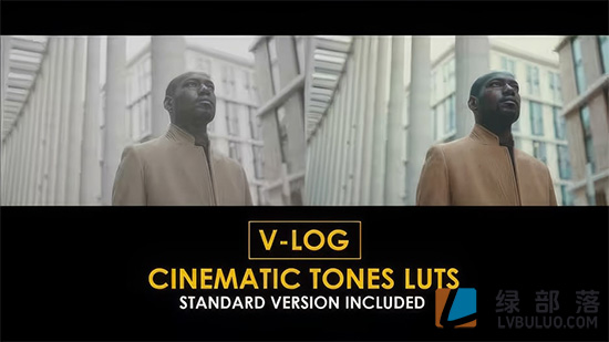 15个时尚梦幻电影Vlog颜色分级调色预设 V-Log Cinematic Tones and Standard Color LUTs