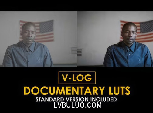 20个电影新闻纪录片短视频Vlog标准颜色校正调色预设 V-Log Documentary and Standard LUTs