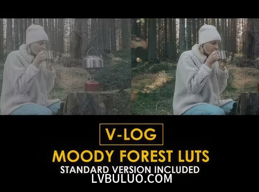 15个户外大自然森林穆迪神秘标准颜色校正调色预设 V-Log Moody Forest LUT
