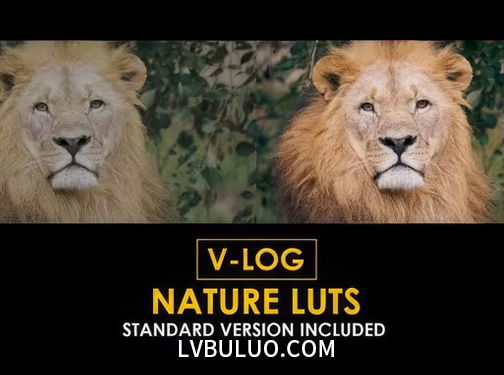 20个户外森林人文纪实摄影标准颜色校正调色预设 V-Log Nature and Standard LUTs