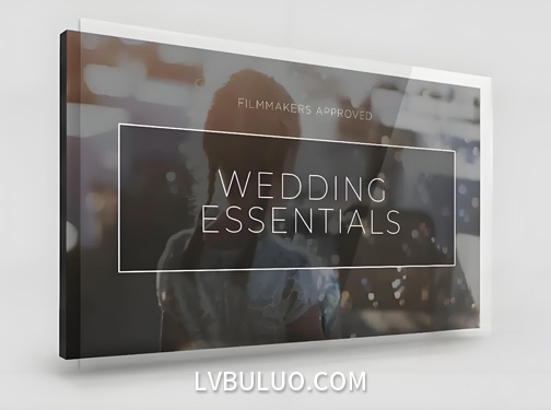 250多个复古浪漫婚礼MV纪录片叠加视频动画+LUT预设 Vamify – Wedding Essentials