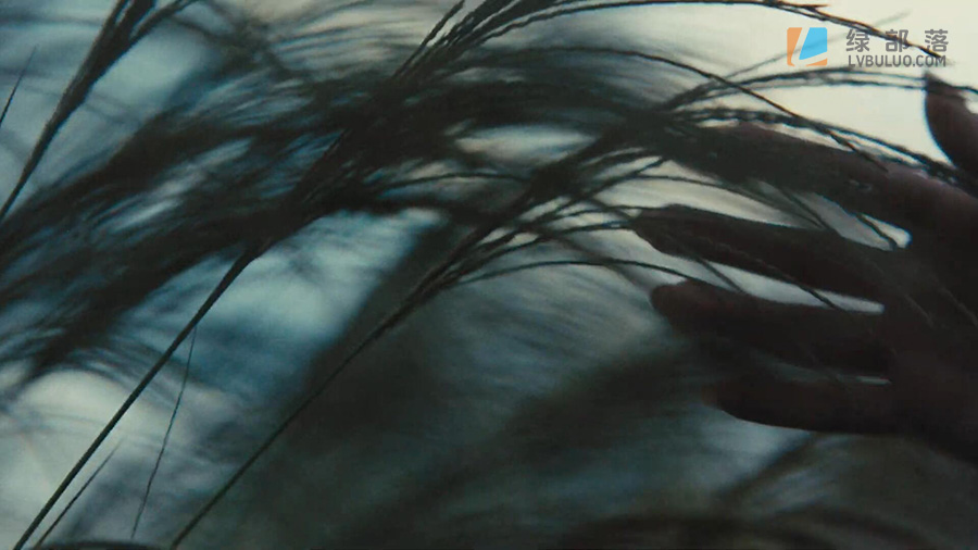 45个复古电影胶片美学调色预设 Video Village – Filmbox LUTs