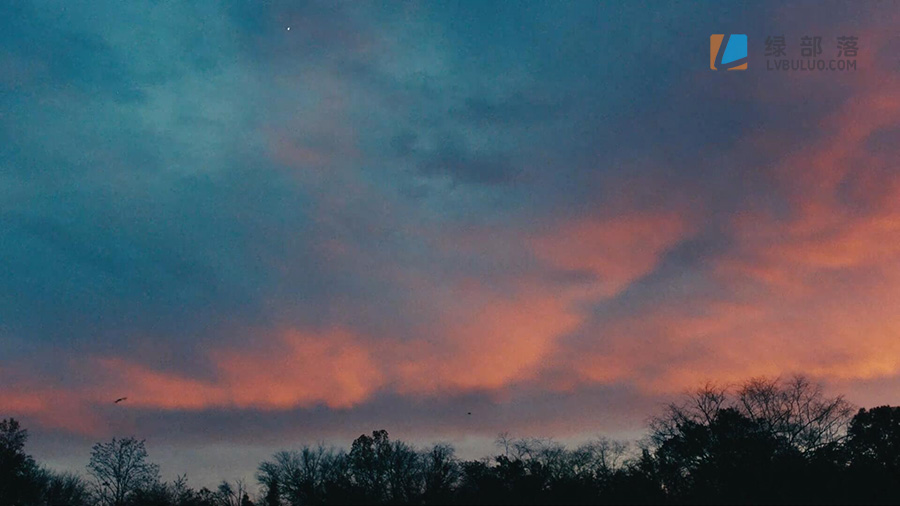 45个复古电影胶片美学调色预设 Video Village – Filmbox LUTs